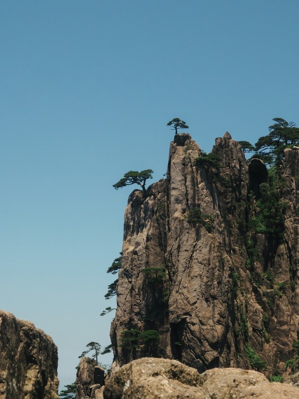 a rock cliff with trees on top yellow mountain china